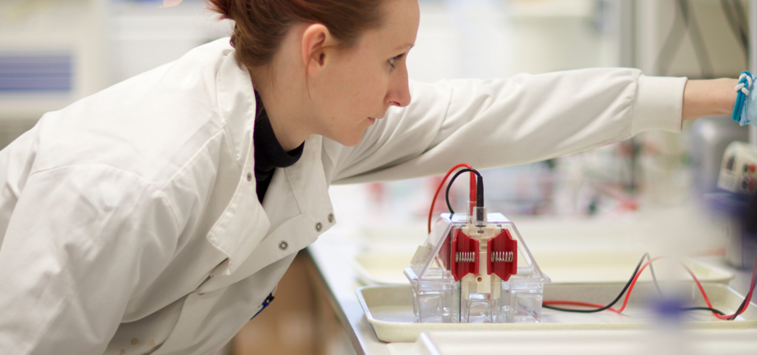 Manchester Cancer Research Centre - Women in Cancer Network