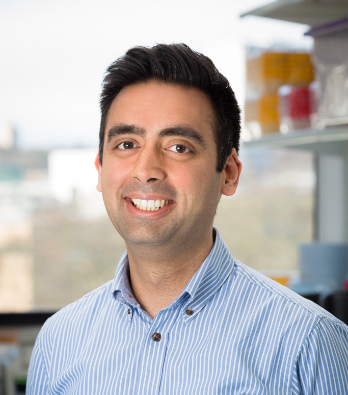 Headshot of Dr Ashwin Sachdeva