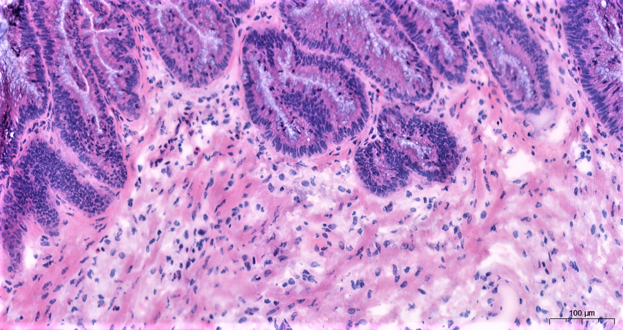 Manchester Cancer Research Centre - 