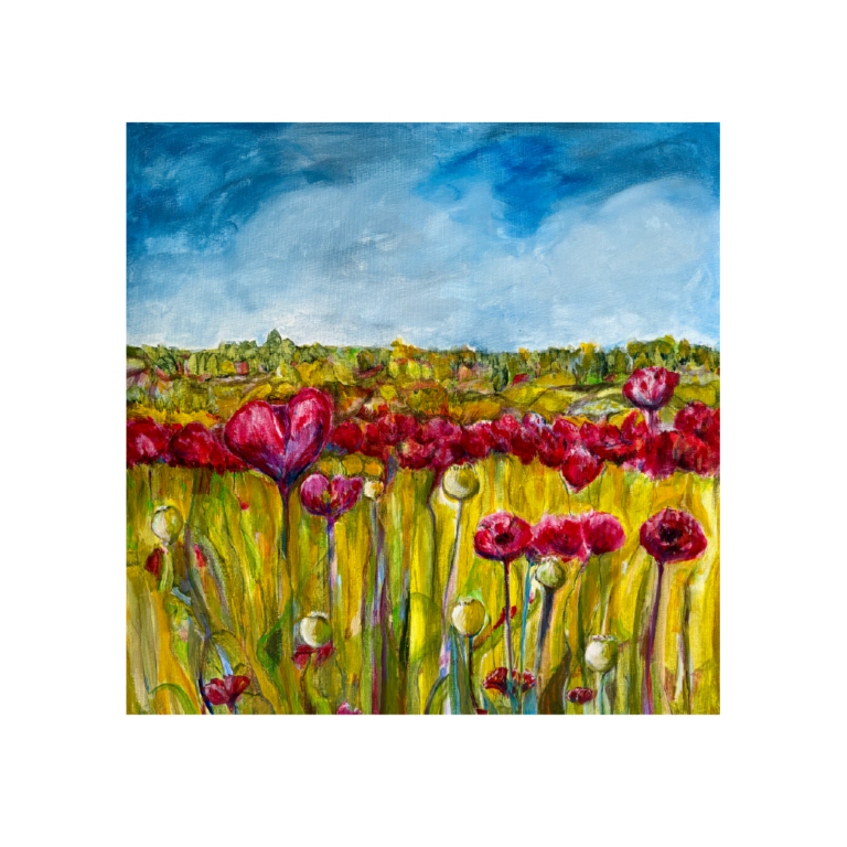 Poppies, Hay-On-Why by Brenda Mallon